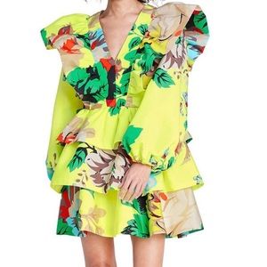 Christopher John Rodgers x Target Ruffle Dress